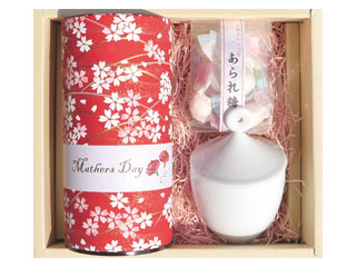 ��̓��v���[���g�@��݂̂Ƃ����Z�b�g