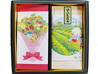 ��̓��v���[���g�@����