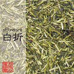 白折葉