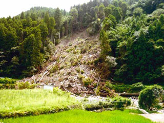 NPO法人星のふるさと