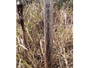 NPO法人星のふるさと