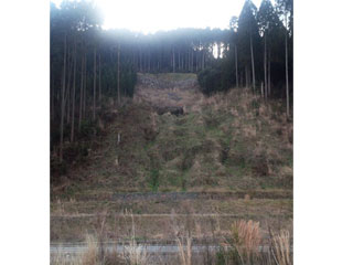 NPO法人星のふるさと