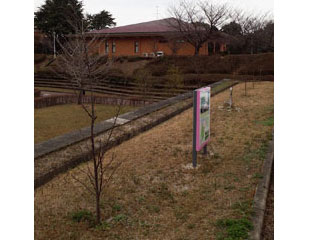 NPO法人星のふるさと