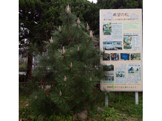 NPO法人星のふるさと