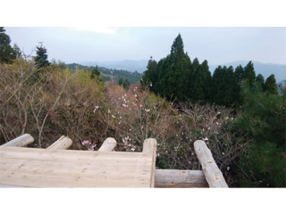 NPO法人星のふるさと