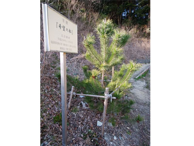 NPO法人星のふるさと