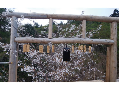 NPO法人星のふるさと