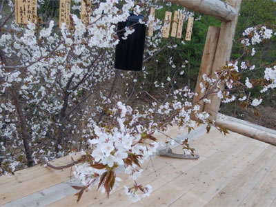 NPO法人星のふるさと