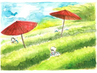 NPO法人星のふるさと