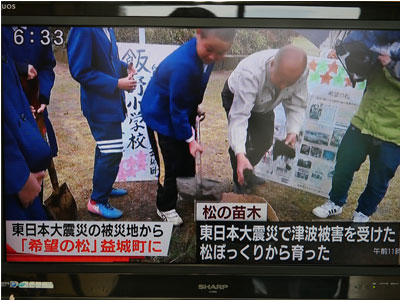 NPO法人星のふるさと