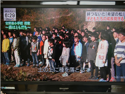 NPO法人星のふるさと