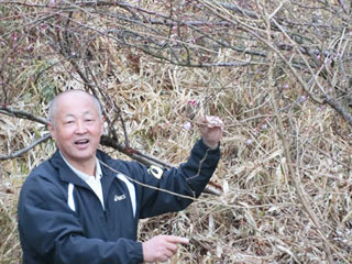 NPO法人星のふるさと