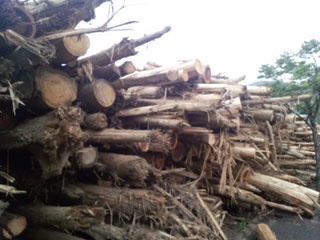 NPO法人星のふるさと