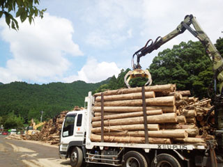 NPO法人星のふるさと